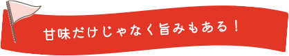 甘味だけじゃなく旨みもある！