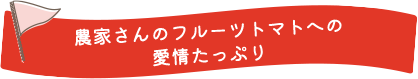 農家さんのフルーツトマトへの愛情たっぷり