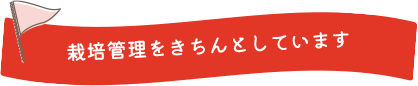 栽培管理をきちんとしています