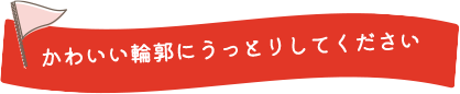 かわいい輪郭にうっとりしてください