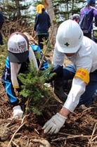 植樹祭の様子